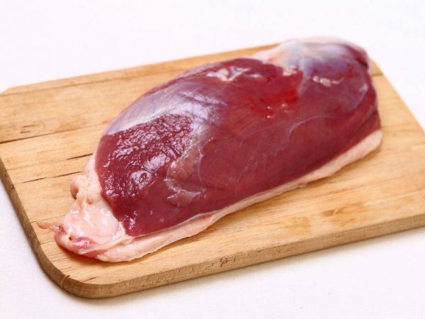 Pestovanie indických kačiek na mäso