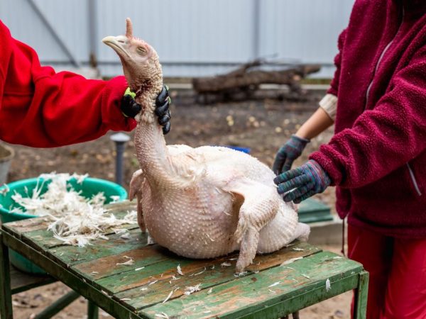 Každý farmár má svoje vlastné zabíjačkové vlastnosti