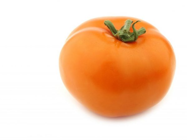 Charakteristika paradajok tomel