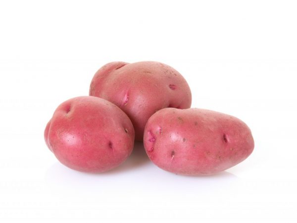 Plody majú liečivý účinok