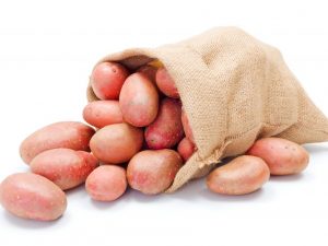 Charakteristika zemiakovej odrody Lyubava