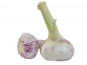 Veľký cesnak