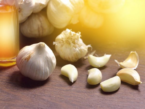 Malé množstvo cesnaku naplní telo vitamínmi