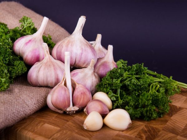 Množstvo vitamínov závisí od podmienok expresie