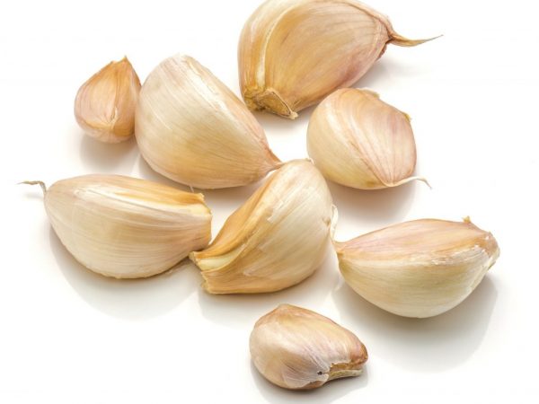 Lyubasha miluje teplo