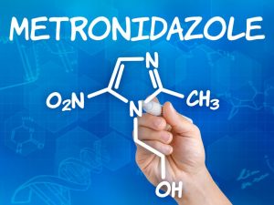 Aplikácia metronidazolu na morčatá