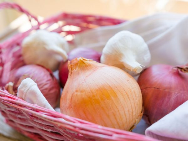Vrchný obväz na cesnak a cibuľu