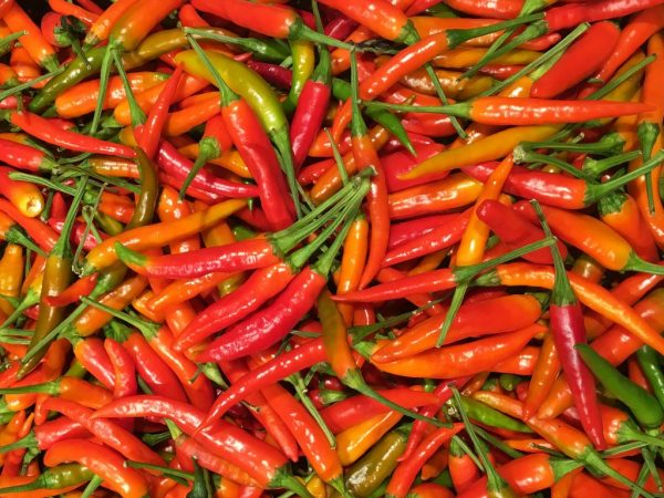 Paprika je veľmi horká