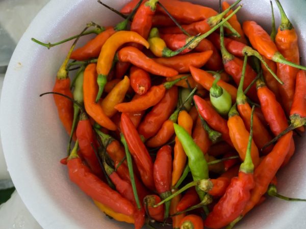 Paprika je užitočná