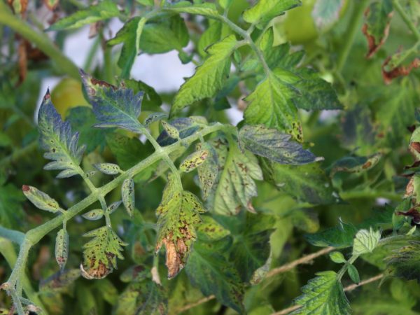Na prevenciu používajte niektoré techniky