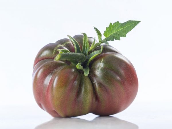 Charakteristika paradajky čierneho slona