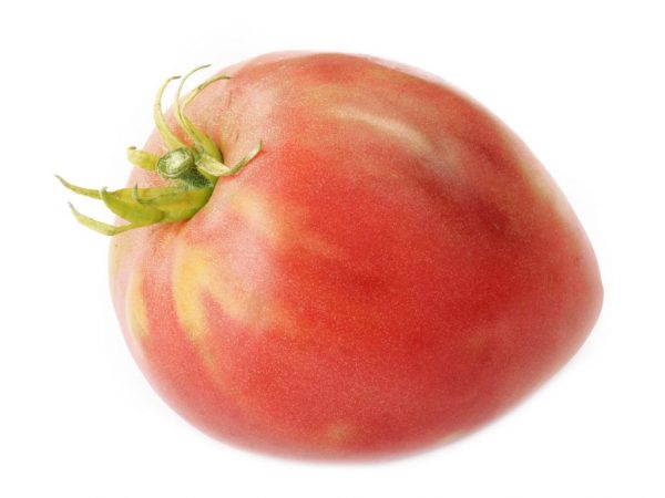 Popis paradajok Nastenka