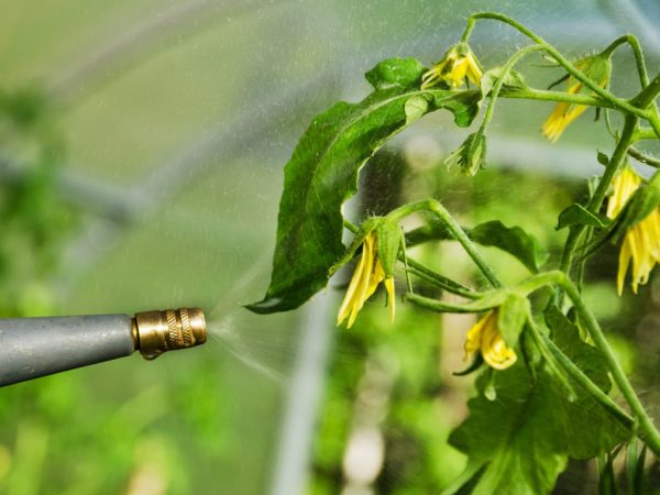  Známky choroby vám pomôžu zvoliť riešenie na spracovanie