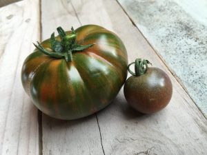 Popis paradajkovej prúžkovanej čokolády