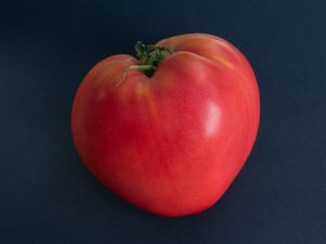 Popis paradajkového ružového spamu