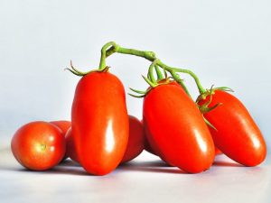 Opis a vlastnosti odrody paradajok sibírska trojka