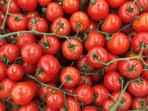 Charakteristika odrody paradajok Cherry Red