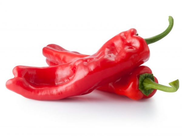 Na záhrade rastie paprika