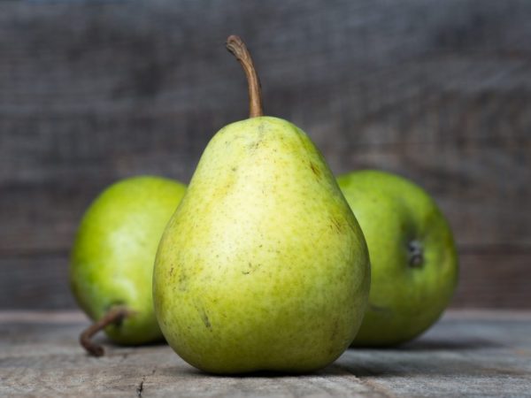 Charakteristika odrody hrušky Augustowskaya Rosa