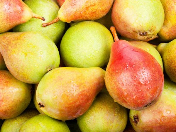 Farba ovocia je jantárová a na jednej strane červená