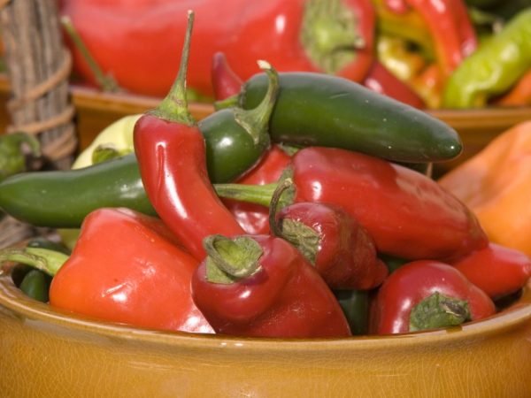 Jalapeno šalátové papriky