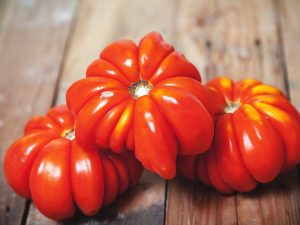 Charakteristika paradajky Lorraine Beauty