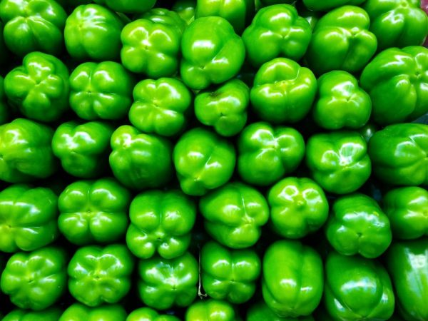 Paprika sa pestuje častejšie v skleníkoch.