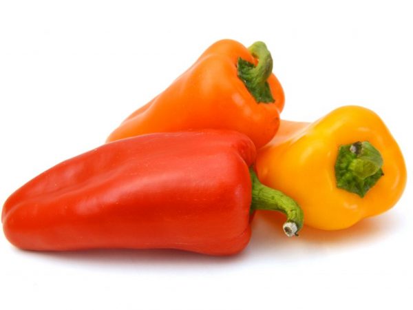 Paprika je veľmi náchylná na choroby