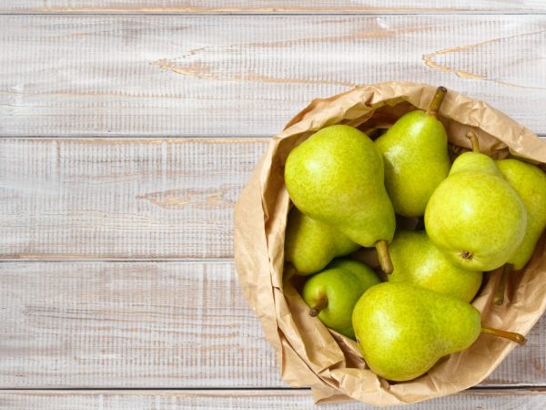 Charakteristika hrušiek odrody Orlovskaya Letnyaya