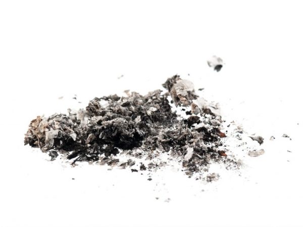 Popolček alebo bio