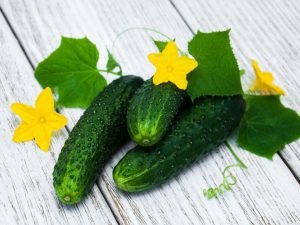 Charakteristika odrôd uhoriek s písmenom Ш