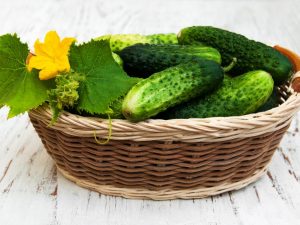 Charakteristika strapca hrozna