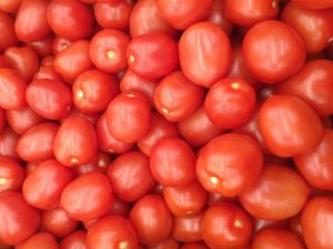 Obsah vitamínov v paradajkách
