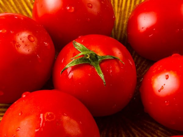 Charakteristika Tomato Jugglera