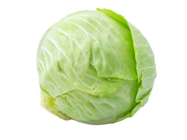 Odroda Muksuma zlepšuje metabolizmus