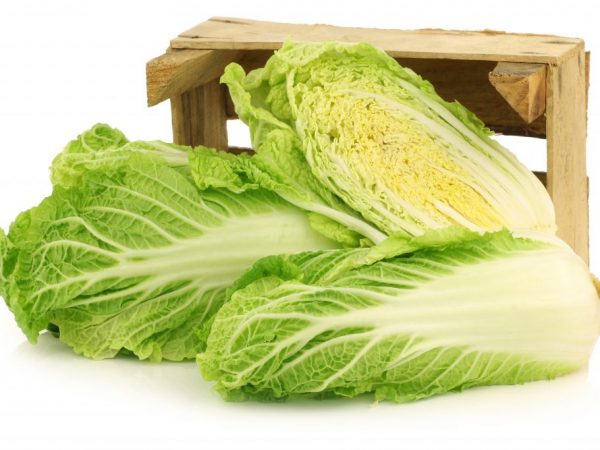 Pestovanie čínskej kapusty na Urale
