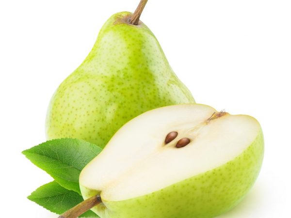 Hnojivá a kŕmenie chránia pred škodcami