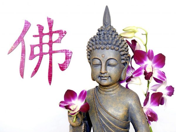 Význam kvetu orchidey vo Feng Shui