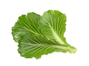 Collard greeny