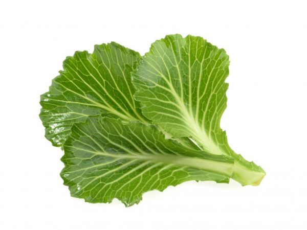 Collard greeny