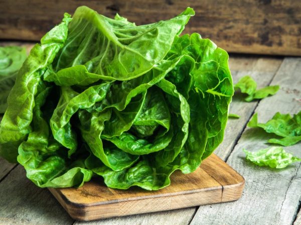 Zelenina obsahuje veľa vitamínov