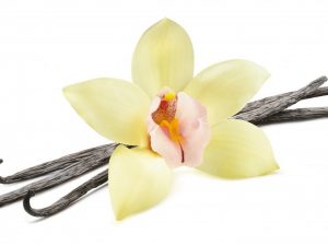 Orchidová vanilka