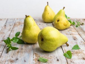 Charakteristika hrušiek Dulia