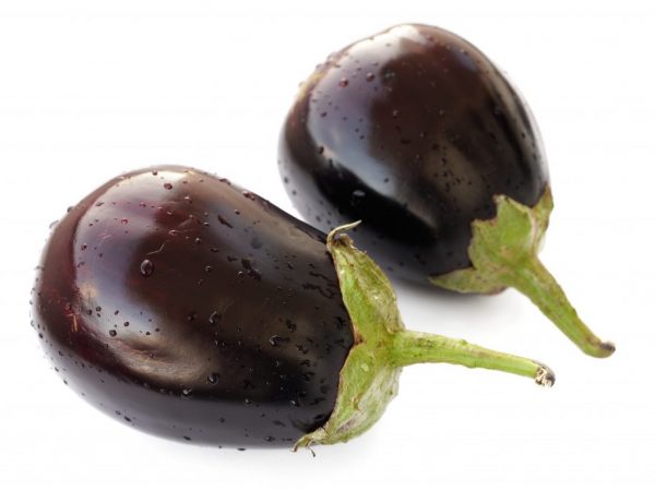Baklažán čierny pekný