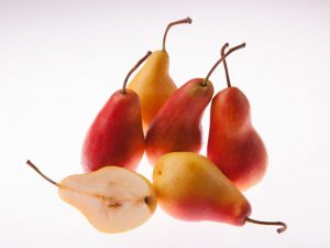 Popis odrody hrušky Zabava