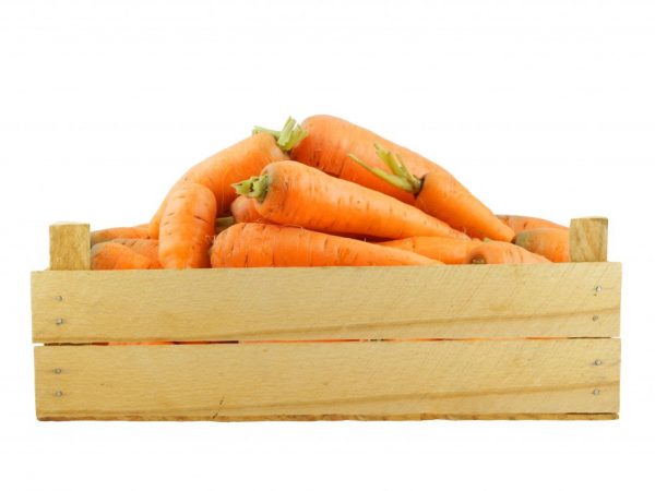 Vytvorte optimálne podmienky pre zeleninu
