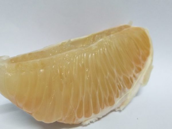 Citrusy nemožno zmraziť