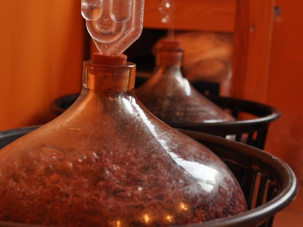 Buničina sa používa pri príprave rôznych druhov vín