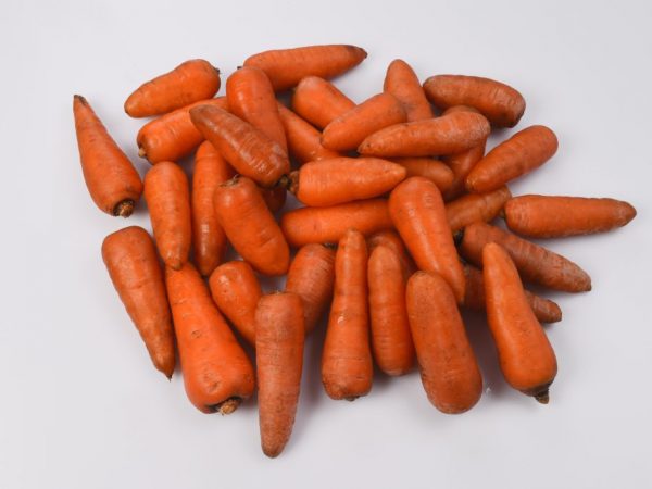 Popis odrody mrkvy Red Cor