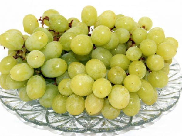 Charakteristika hrozna White Miracle